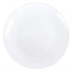 Blue Sky Organic Collection White Dinner Plates 10.5" Elegant Plates