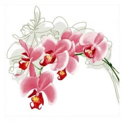 Nicole Fantini Collection Orchid Stem Disposable Lunch Paper Napkins 20 Ct Elegant Napkins