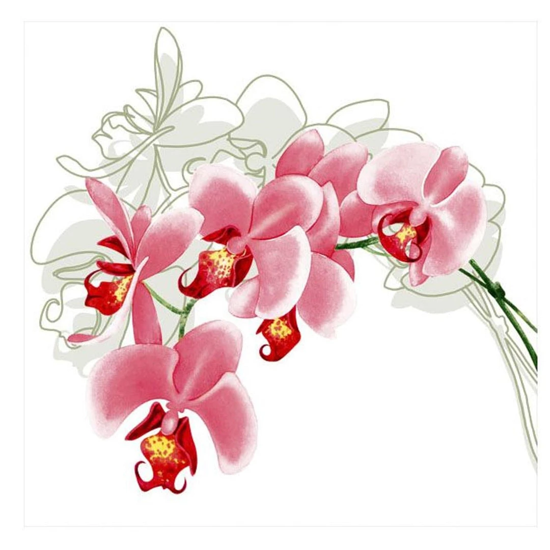 Nicole Fantini Collection Orchid Stem Disposable Lunch Paper Napkins 20 Ct Elegant Napkins 1 Nicole Fantini Collection Orchid Stem Disposable Lunch Paper Napkins 20 Ct Elegant Napkins