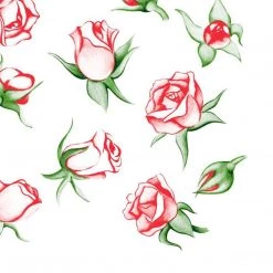 Nicole Fantini Collection Elegant Napkins Rose Explosion Disposable Lunch Paper Napkins 20 Ct