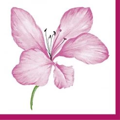 Nicole Fantini Collection Elegant Napkins Lilac Delight Disposable Lunch Paper Napkins 20 Ct