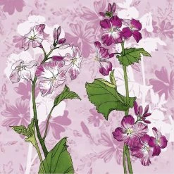 Nicole Fantini Collection Violet Opulence Disposable Lunch Paper Napkins 20 Ct Elegant Napkins