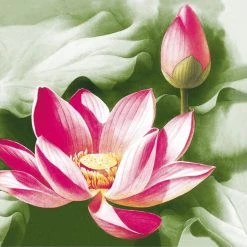 Nicole Fantini Collection Elegant Napkins Pink Lotus Disposable Lunch Paper Napkins 20 Ct