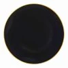 Blue Sky Organic Collection Black/Gold Rim Plastic Dinner Plates 10"
