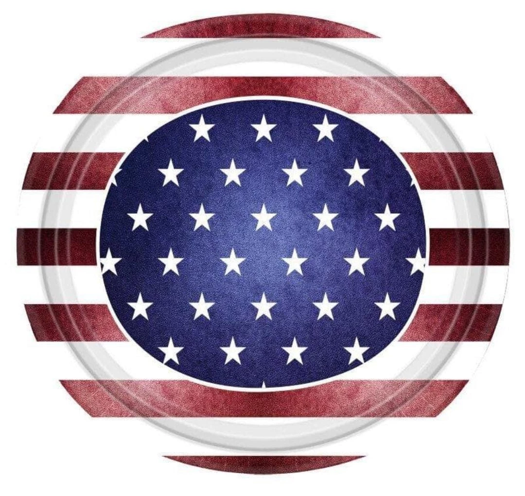 Nicole Home Collections Americana Premium Paper Plates 12" 14 Count