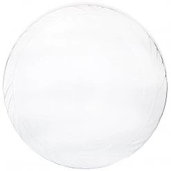 Blue Sky Lightweight Plastic Plates Frosty Clear 10"