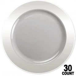 Lillian Tablesettings Magnificence Plastic Dinner Plate Clear 10.25" Elegant Plates