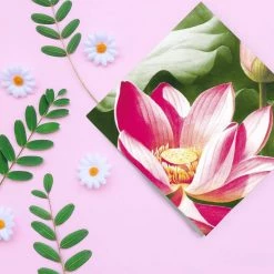 Nicole Fantini Collection Elegant Napkins Pink Lotus Disposable Lunch Paper Napkins 20 Ct