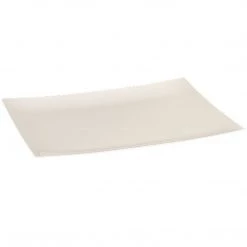 Lillian Tablesettings Rectangular Plastic Appetizer Plates Sahara 7.5"