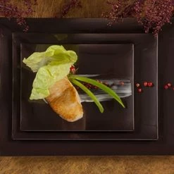 Lillian Tablesettings Clearance Sale SALE Rectangular Plastic Entree Plates Chestnut 11.75" 10Ct