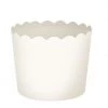 Blue Sky Simcha Collection Large Baking Cups White 20CT