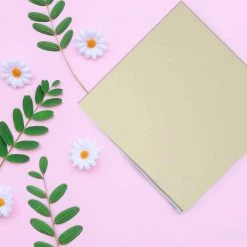 Lillian SALE Solid Ivory Lunch Napkins 16 Count