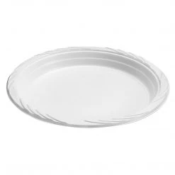 Blue Sky White Lightweight Plastic Plates White 6in