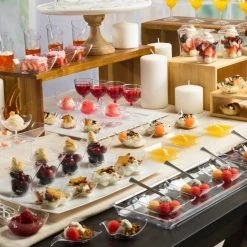 Mini Entertainers Lillian Tablesettings Mini Plastic Gourmet Dish Petite Clear 6 Oz