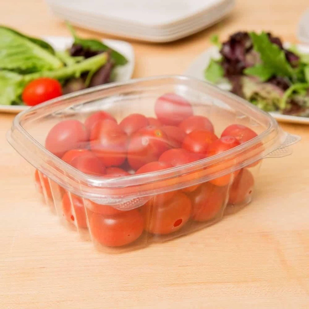 OnlyOneStopShop Salad Containers 32 Oz Rectangle Clear Heavy Duty Plastic Hinged Deli Container With Flat Lid 2 OnlyOneStopShop Salad Containers 32 Oz Rectangle Clear Heavy Duty Plastic Hinged Deli Container With Flat Lid